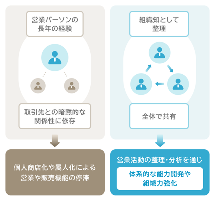 営業・販売機能の強化支援