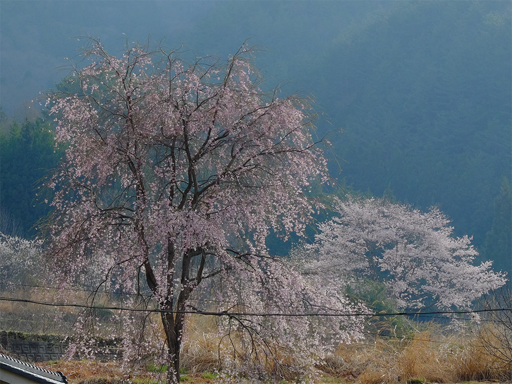 山梨県山梨市牧丘