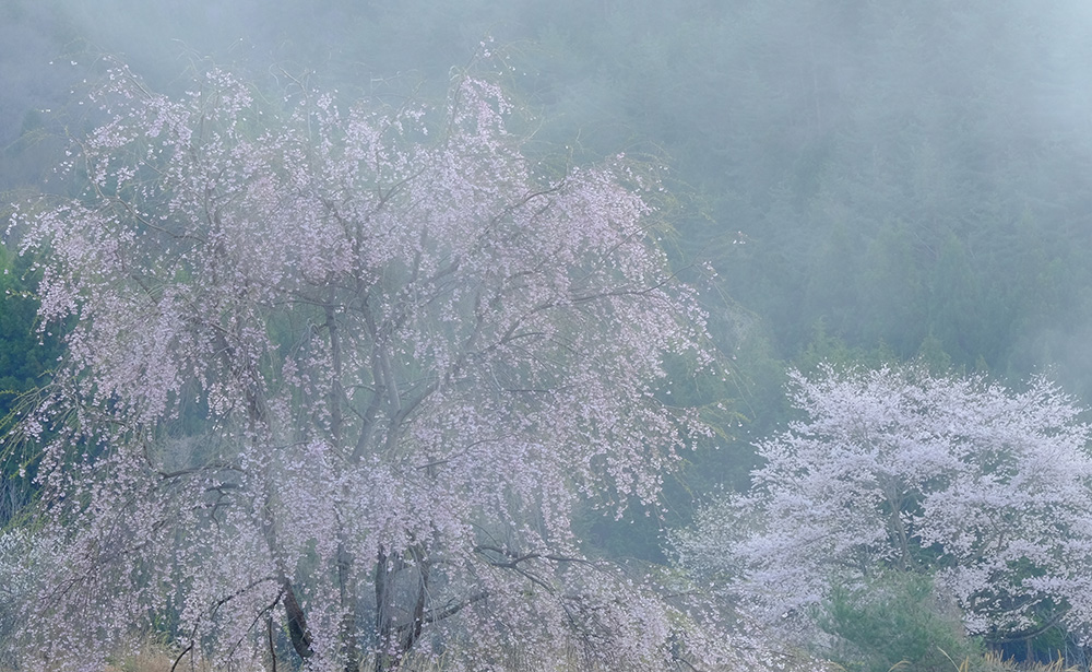 山梨県山梨市牧丘