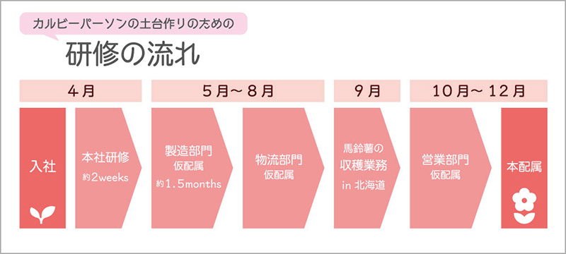 研修の流れ