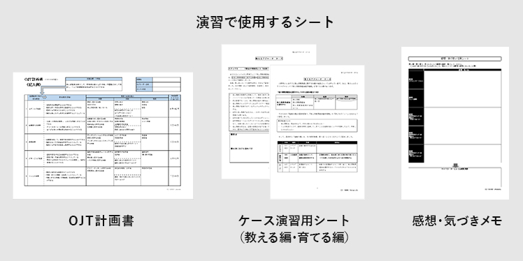 ＯＪＴの領域と能力３要素の関係