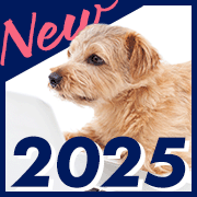 最新トレンド対応！2024年度 新規開講コース特集