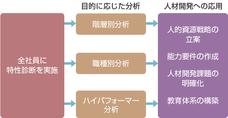 特性診断を活用した体系的な人材育成