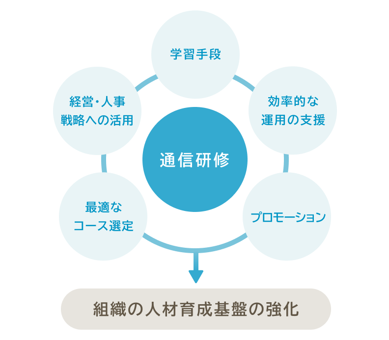 組織の人材育成基盤の強化