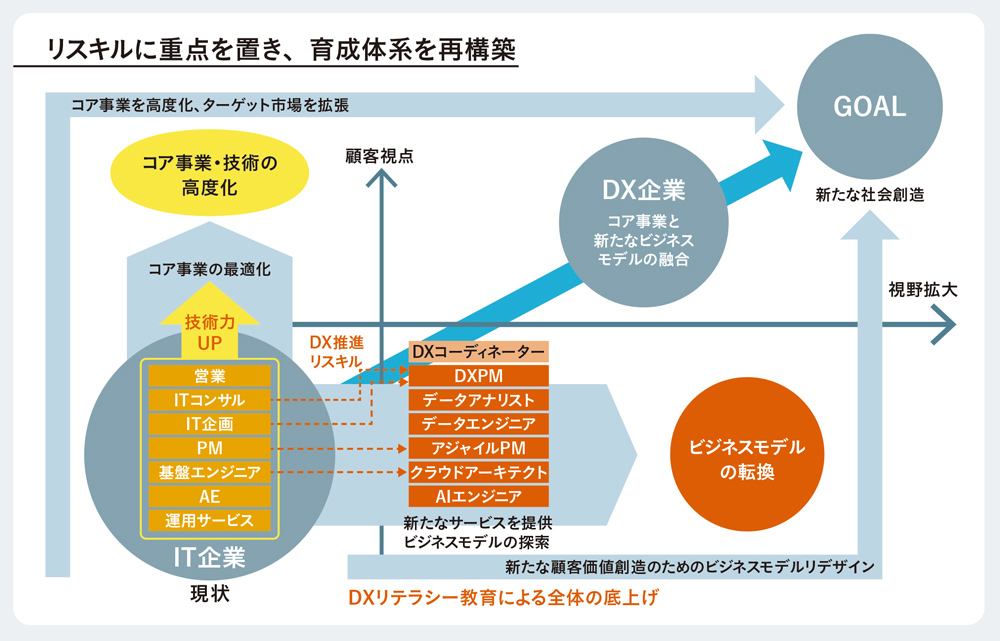 アイネスの育成体系図