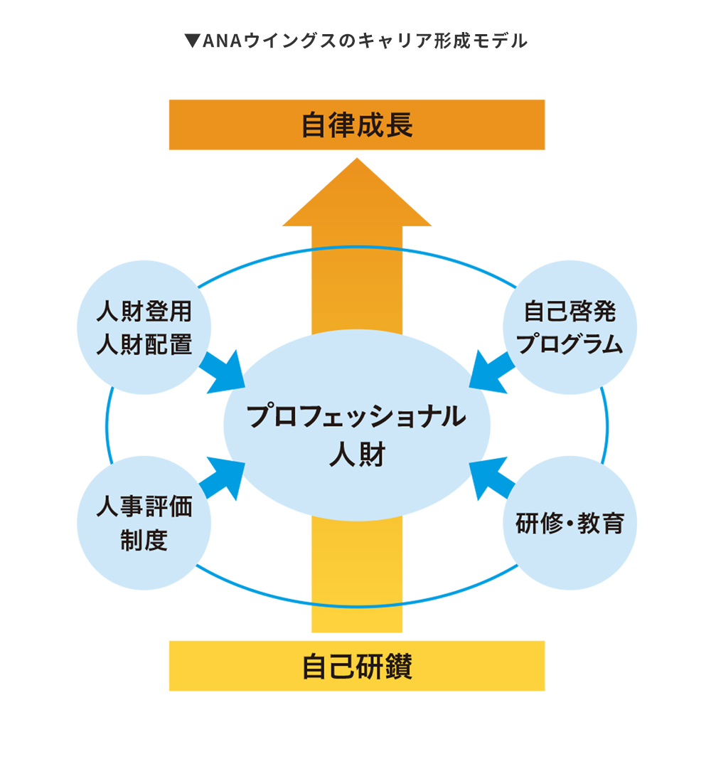 ANAウイングス株式会社のキャリア形成モデル