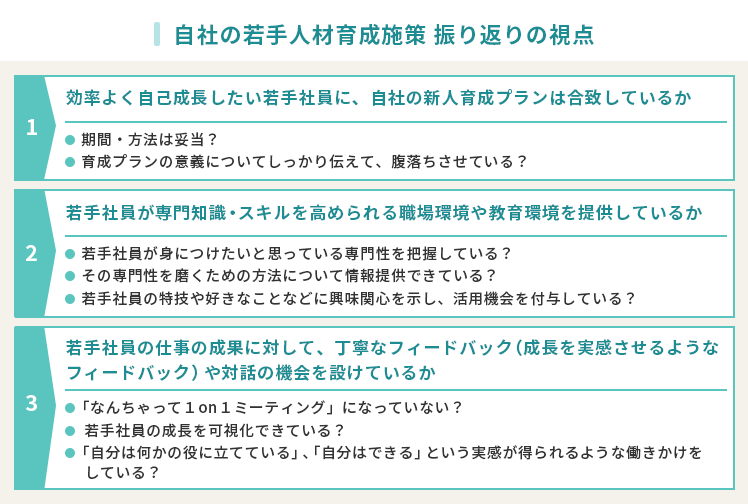 自社の若手人材育成施策　振り返りの視点