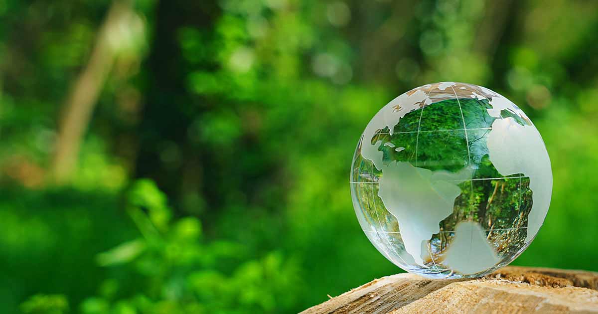 ～SDGs（持続可能な開発目標）対応！～ カーボンニュートラル入門