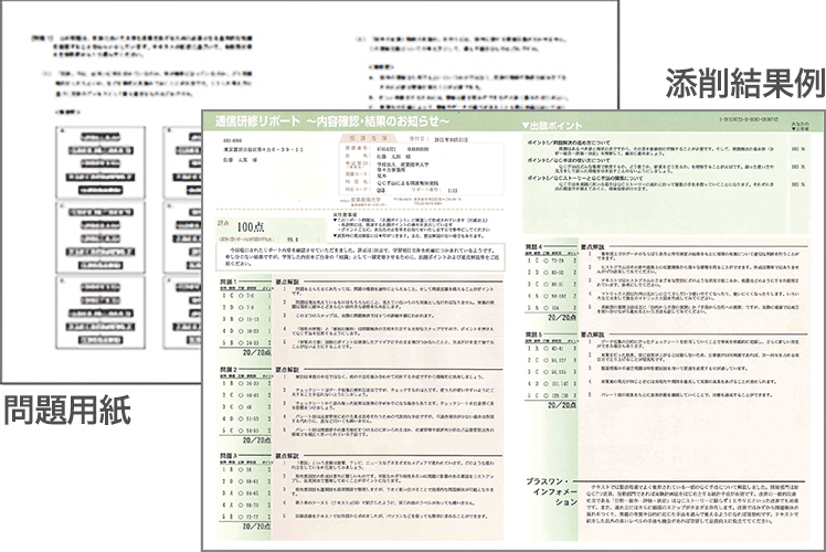 問題用紙 添削結果例