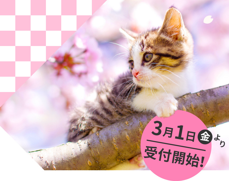 3月1日(金)より受付開始!