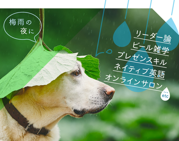 梅雨の夜に