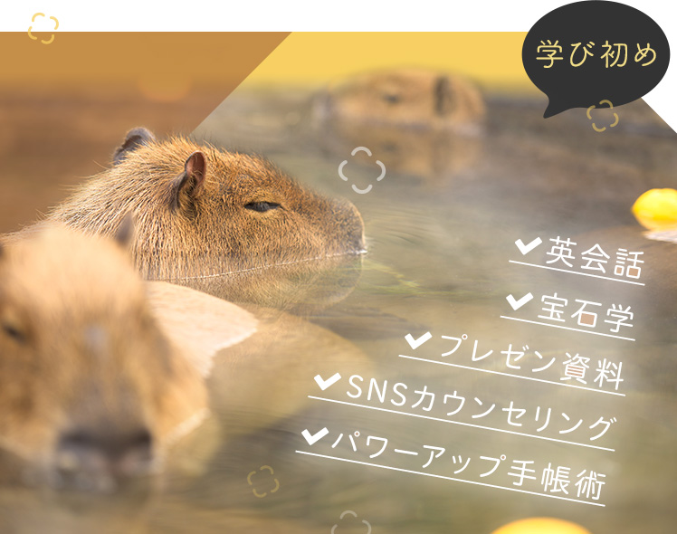 学び初め