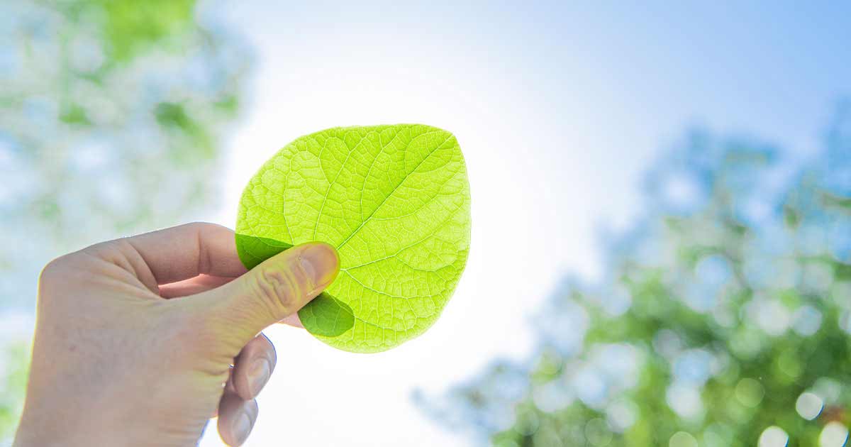 メンタル・タフネス実践(通学)
